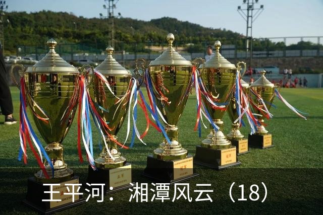 王平河：湘潭风云（1/8）